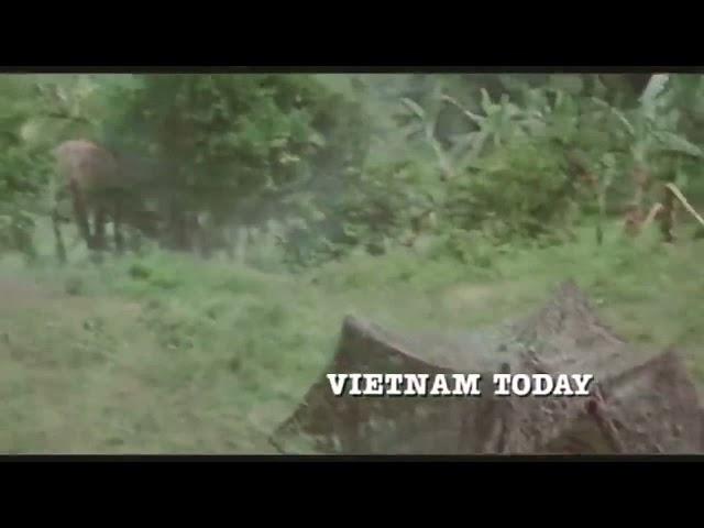 Best Action Film Full 2021 ll movie vietnam new 2021