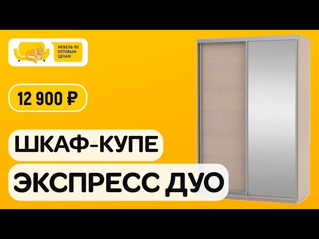 Шкаф купе экспресс дуо. Заказать шкаф купе в Пензе от производителя. Доставка шкаф купе. Пенза 2020