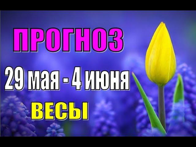 Прогноз на неделю с 29 мая по 4 июня  ВЕСЫ. Недельный гороскоп