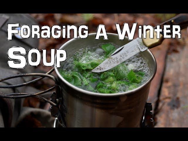 Foraging For a Wild Edible Winter Soup in Late December