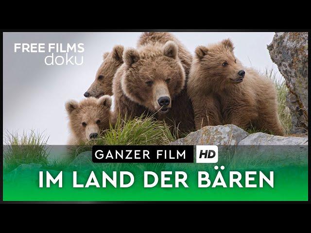 Im Land der Bären – ganze Doku auf Deutsch kostenlos schauen in HD