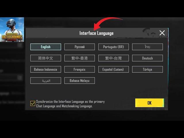 How to Change Language in Pubg Mobile | How to Change Interface Language in Pubg Mobile