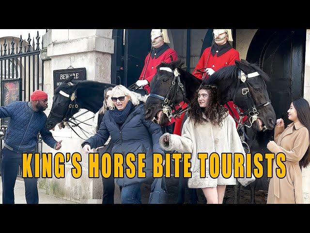 King's Horse bite Tourists ! Funniest Moments of The Year