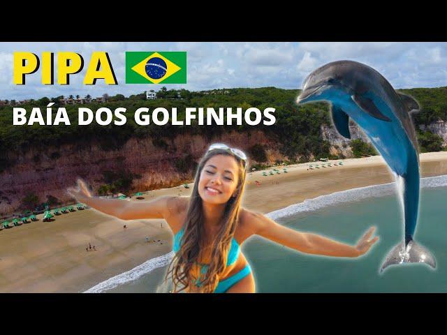 Baía dos Golfinhos PRAIA DA PIPA Beach  Brazil | Playa del Pipa