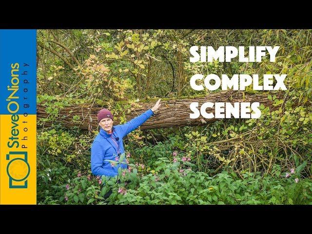 Film Photography - Crop In and Simplify Compositions