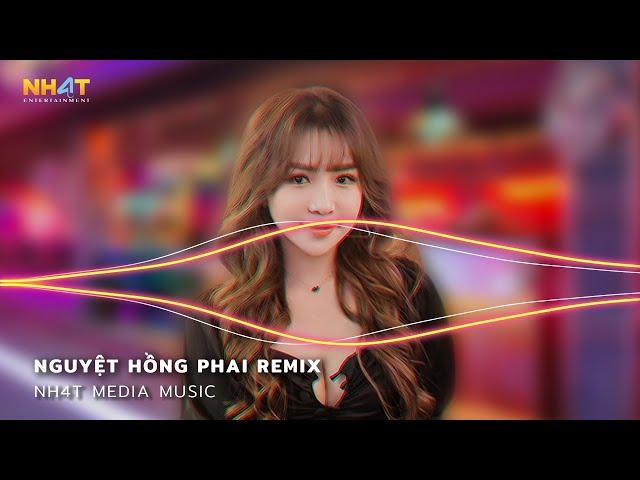 Hoa Kia Rơi Hữu Tình Mà Ta Cớ Sao Vô Hình Remix - Nguyệt Hồng Phai Remix, Ải Hồng Nhan Remix TikTok