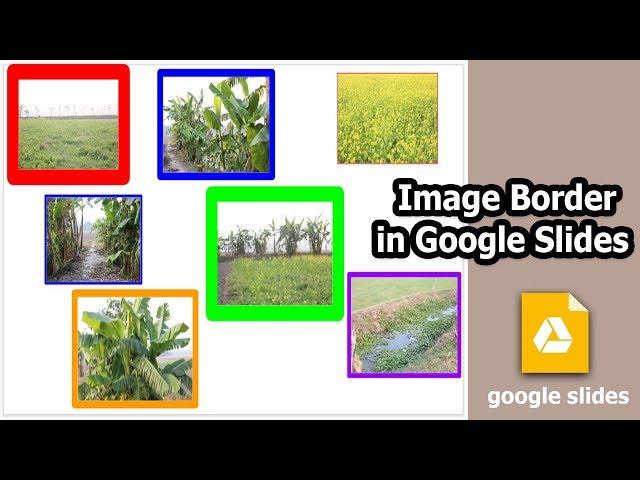 How to add border to image in Google Slides Presentation