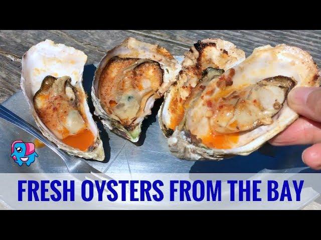 Hog Island Oyster Farm: North of San Francisco on Tomales Bay