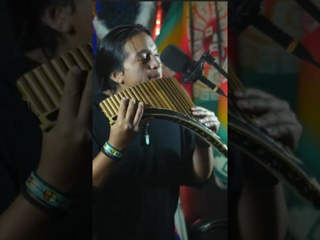 Historia de un Amor #davidmoralessk #music #panflute #live #relax #cover #nativemusician