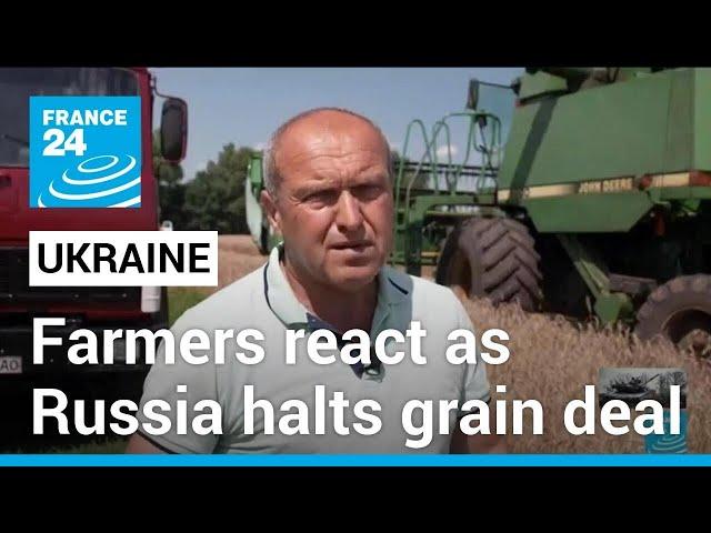 Ukraine’s farmers on edge as Russia halts grain deal • FRANCE 24 English
