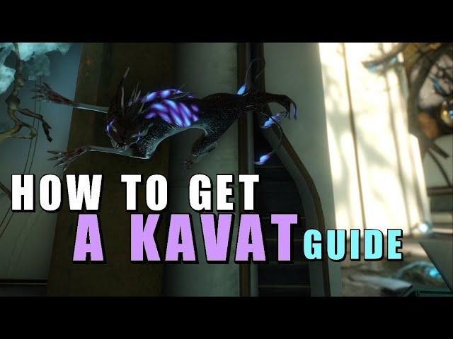 [Warframe] How to get a Kavat Companion (Guide)