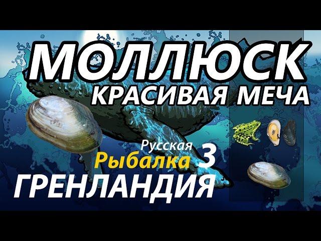 Моллюск Красивая меча / РР3 [ Русская рыбалка 3.9 Гренландия]