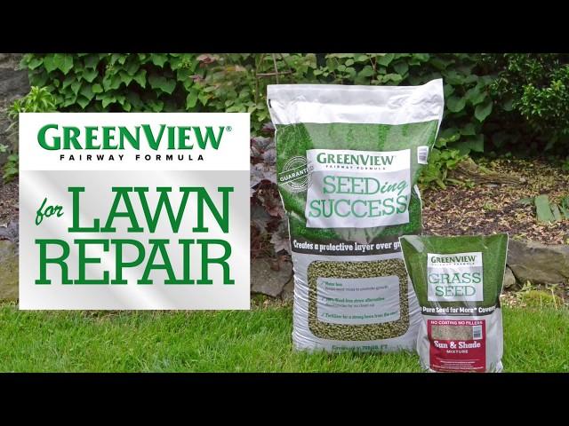 GreenView Fairway Formula for Lawn Repair