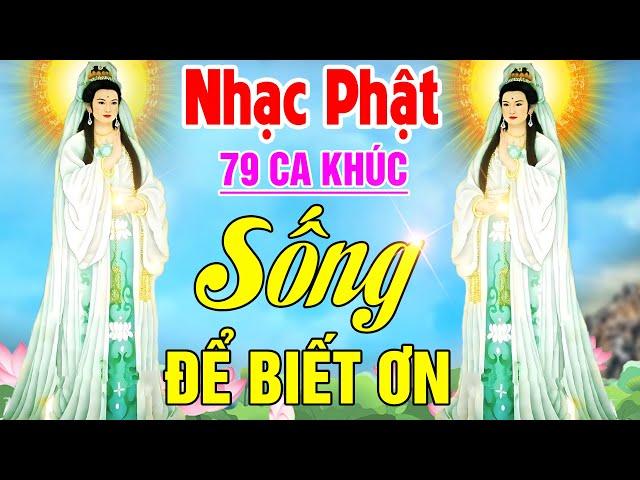 Nhạc Phật - Liên Khúc Nhạc Phật Giáo 2024 #SỐNG ĐỂ BIẾT ƠN #50 CA KHÚC NHẠC PHẬT GIÁO HAY NHẤT 2024