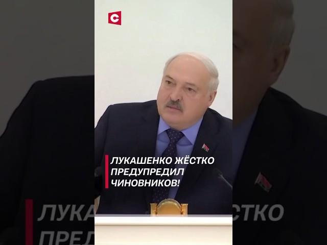 Лукашенко: Мало не покажется! #shorts #лукашенко #политика #новости #беларусь #коррупция