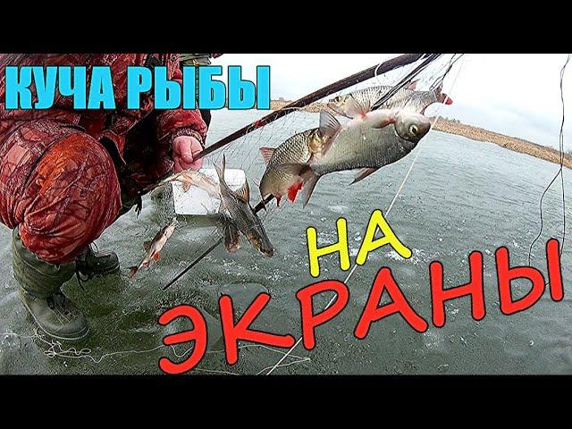 ВОТ ЭТО ПОПАЛО!!! Еле вытащил ЭКРАН из лунки!!! Рыбалка со льда.