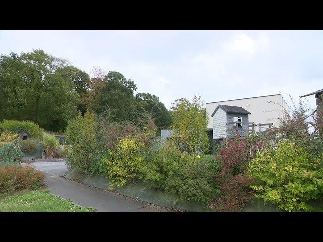 Notre-Dame-de-Gravenchon : des plants de haies offerts aux habitants