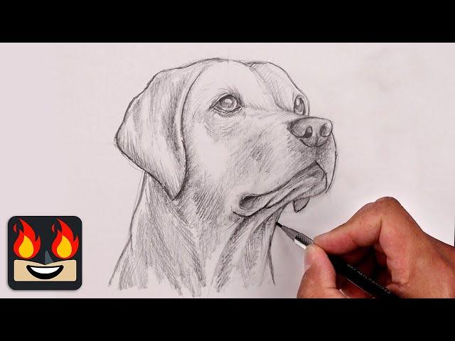 How To Draw a DOG | YELLOW LAB Sketch Tutorial