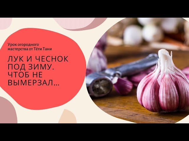 Чеснок и лук под зиму, чтоб не вымерз.