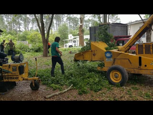 The best 1974 wayne wood chipper video yet