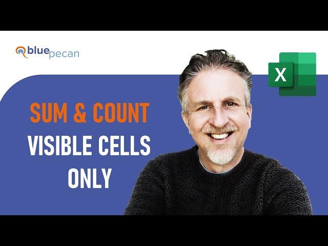 SUM and COUNT Visible Cells Only | Exclude Hidden Cells | SUM or COUNT Filtered Data