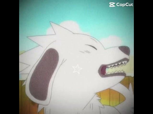 He’s too cute I can’t-#dog #anime #edit #animeedit #naruto #Akamaruedit #kiba #cute