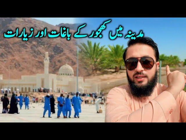 Khajoor Farms In Madina Near Masjid Quba | Ziyaraat In Makkah and Madina | Travel With Adil