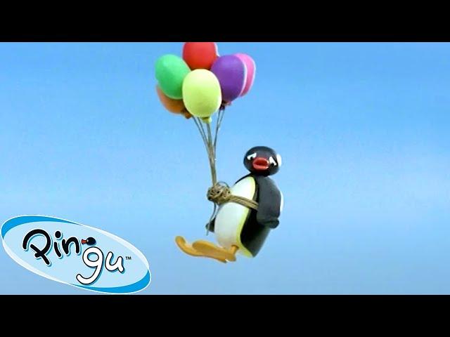 Taking Flight!  | Pingu - Official Channel | Cartoons For Kids