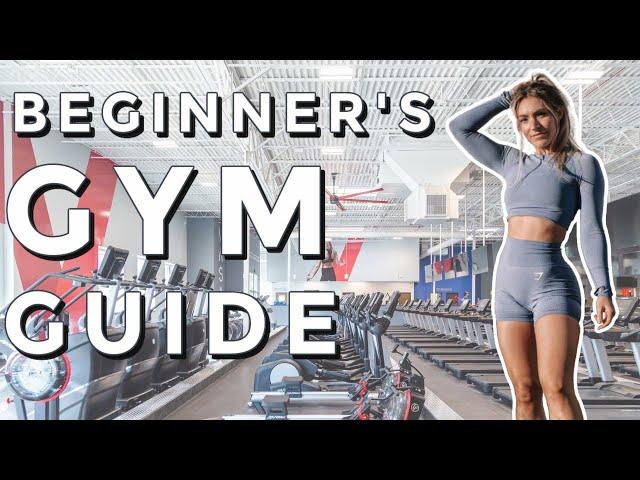 Beginners Guide to the Gym | How and Where to START! Gym Breakdown