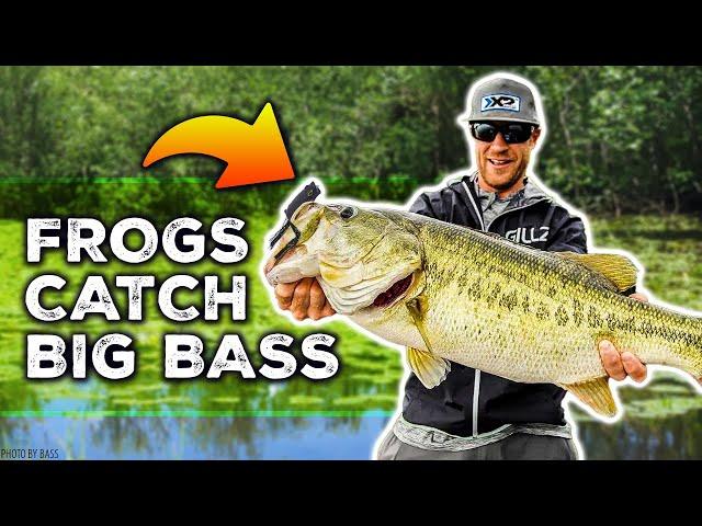 Frog Mods Catch BIG Bass (Hunter Shryock's Topwater Fishing Secret Tips)