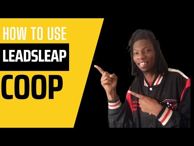 How To Use Leadsleap Traffic Coop