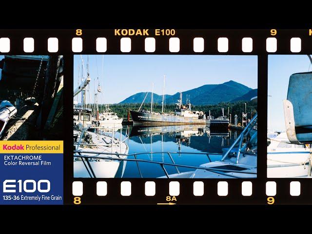 How to tame Kodak Ektachrome 100 (Shooting & Scanning)