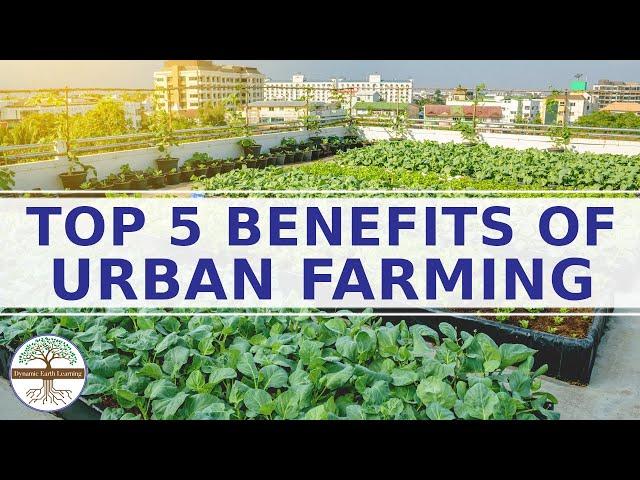 Top 5 Benefits of Urban Farming Explainer Video
