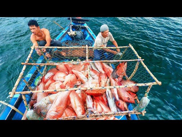 The process of catching fish in a trap | Catch and sell | Fishing