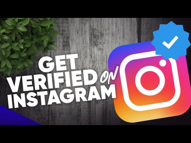 How to get Verified on Instagram 2023