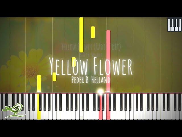 Peder B. Helland - Yellow Flowers (Radio Edit) | Beautiful Piano Tutorial