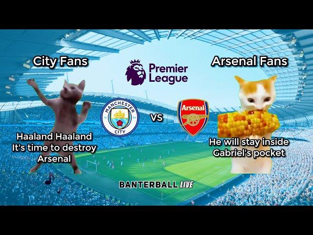 Manchester City 2 - 2 Arsenal | Cat Memes highlights | Premier League 2024/25