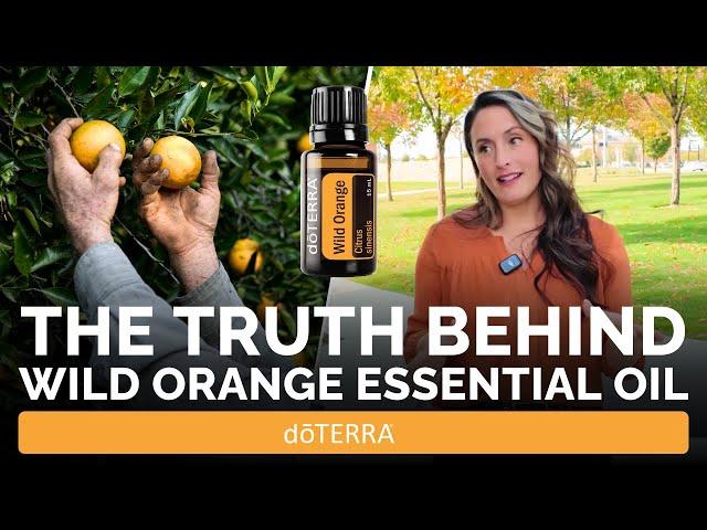 Wild Orange Essential Oil Review | Benefits, Uses & Sourcing Insights from doTERRA Experts