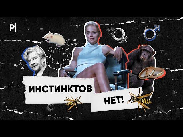 Почему у человека нет инстинктов? | PostNews