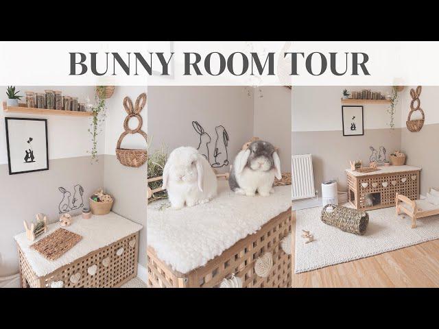 Bunny Room Tour  Indoor Bunnies | Free Roam Bunnies | Indoor Rabbit Set Up