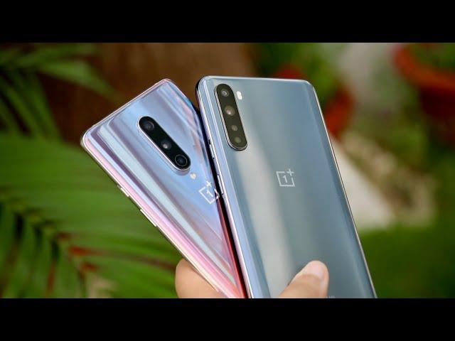 OnePlus Nord vs OnePlus 8 Detailed Camera Comparison