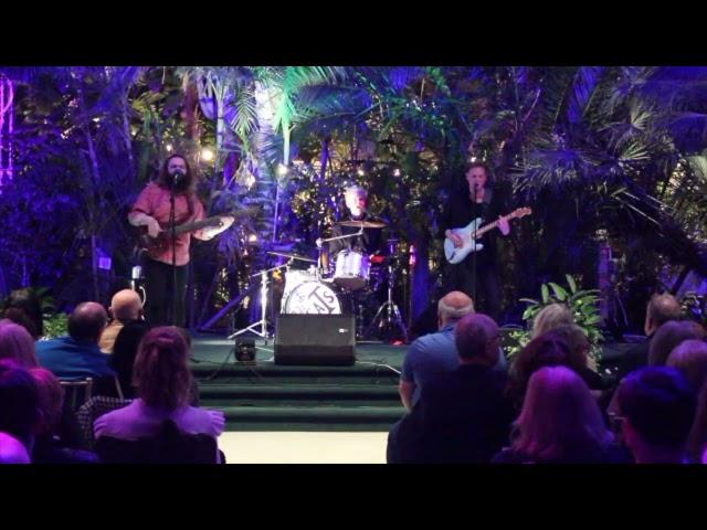 Da Beats live at the Palm House - Paperback writer