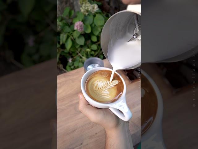 Insane Latte Art  with the BaristaMaker from #DreoKitchen #BaristaMaker #LatteArt