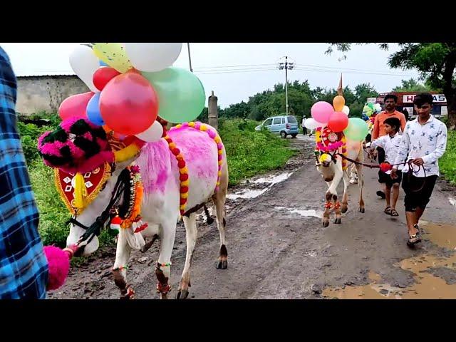 Bail Pola Mahotsav Full HD Video 2020 Parner Bail Pola बैल_पोळा_महोत्सव_2020