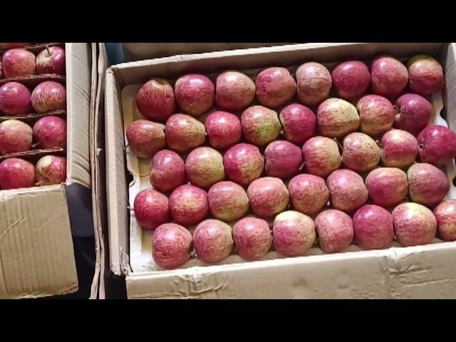  Today wholesale apple rate Dhali mandi shimla  ढली मंडी में सेब बाजार 