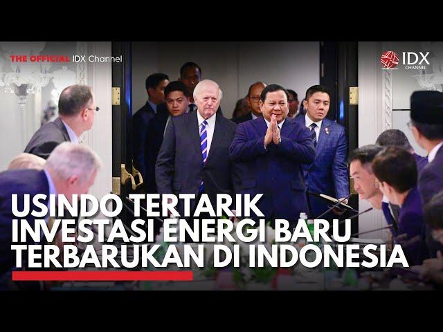 Usindo Tertarik Investasi Energi Baru Terbarukan di Indonesia | IDX CHANNEL