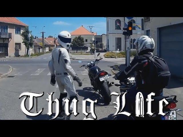 OS REIS DO THUG LIFE | THE KING OF THUG LIFE #29