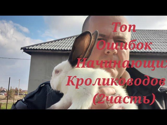 Топ ошибок начинающих кролиководов!!!(2часть)