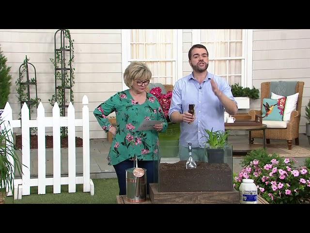 Cottage Farms 3-Piece Gerald Darby Iris on QVC