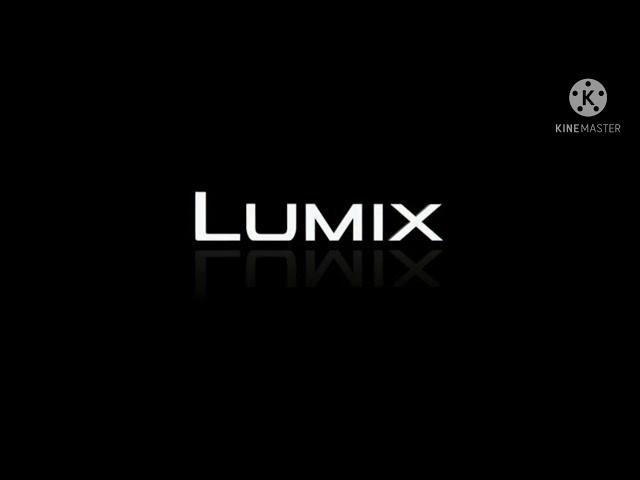 Roll over image to zoom in Panasonic LUMIX FZ300 Long Zoom Digital Camera Features 12.1 Megapixel,